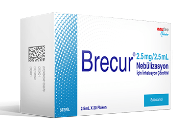 BRECUR 2.5 mg 2.5 ml nebulizasyon için inhilasyon çözeltisi (20 flakon ) kutu görseli