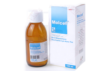 MOLCEF 100 mg/5 ml oral süspansiyon hazırlamak için kuru toz 100 ml kutu görseli