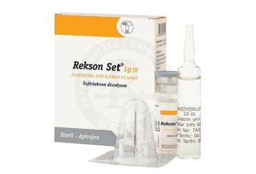 REKSON SET 1 G IV enjektabl toz içeren 1 flakon kutu görseli