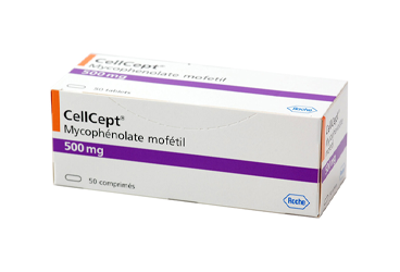CELLCEPT 500 mg 50 tablet kutu görseli