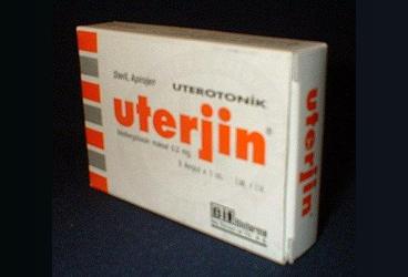 UTERJIN 0.2 mg IM 3 ampül kutu görseli
