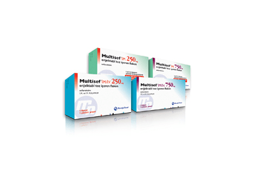 MULTISEF 250 mg IM enj.toz içeren 1 flakon kutu görseli