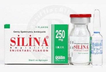 SILINA 250 mg 1 flakon kutu görseli