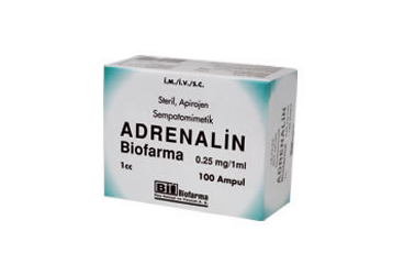 ADRENALIN BIOFARMA 0.25 mg 10 ampül kutu görseli
