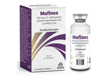 ANTIFUNGIN 100 mg I.V. infüzyonluk çözelti hazırlamak için liyofilize toz kutu görseli