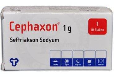 CEPHAXON IM 1000 mg 1 flakon kutu görseli