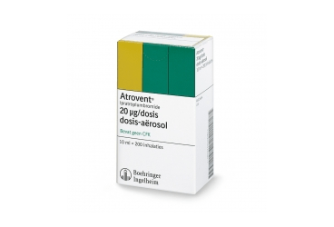 ATROVENT 250 mcg/2 ml tek dozluk inhilasyon solüsyon 20 flakon kutu görseli