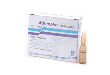ADRENALIN 0.25 mg 10 ampül kutu görseli