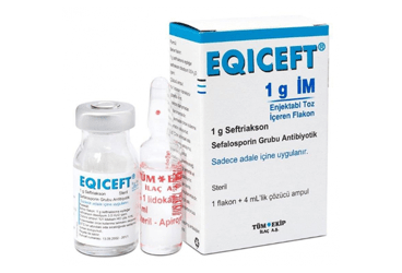 EQICEFT- IM 1000 mg 1 flakon kutu görseli