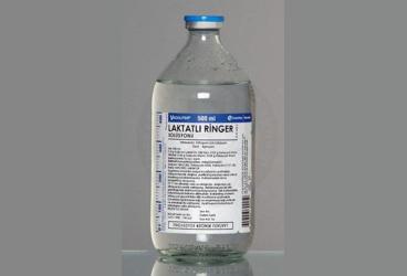 LAKTATLI RINGER şişe 500 ml(setli) { Koçak } kutu görseli